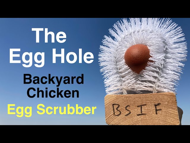 The Egg Hole - DIY Backyard Chicken Egg Scrubber