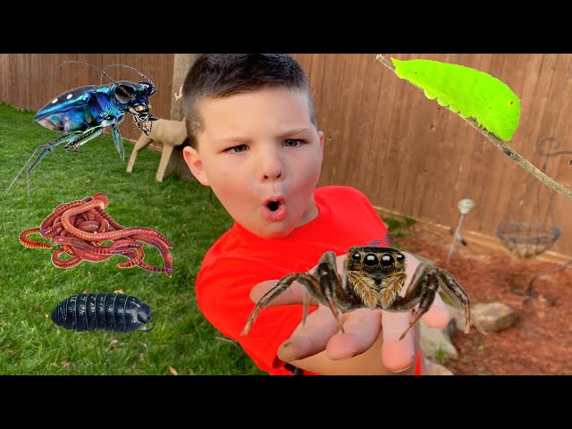 MYSTERY BUG CATCHING BACKYARD ADVENTURE! Caleb PLAYS OUTSIDE BUG HUNT with DADDY and MOM!