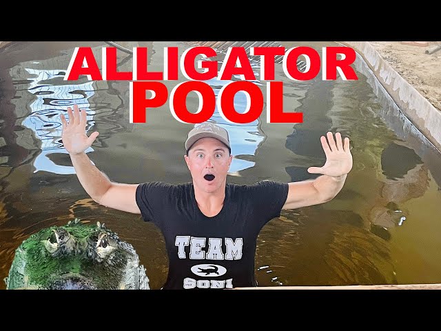 Jumping Into The Alligator Pool!!!
