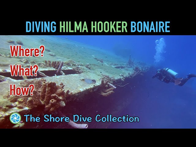 Diving Hilma Hooker Bonaire | The Shore Dive Collection | TropicLens - 4K