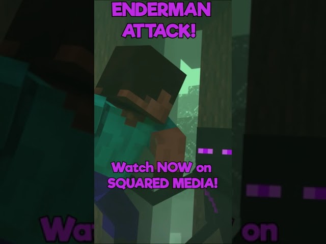 Enderman Attack!