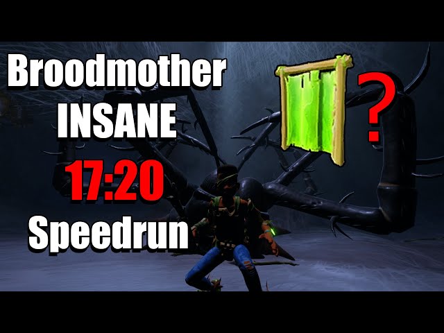 Broodmother Speedrun in 17:20 (TAS)