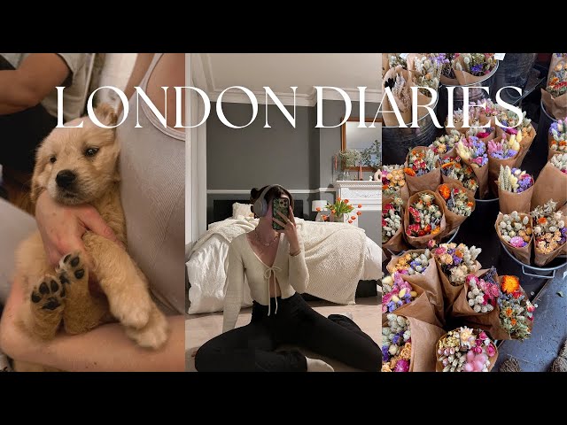 LONDON DIARIES: getting back into my routine, organizing my closet, + puppy yoga