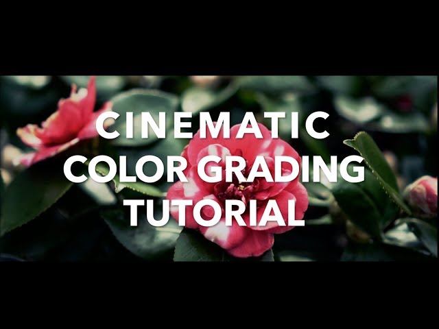 Easy Cinematic Color Grading - Tutorial and Tips