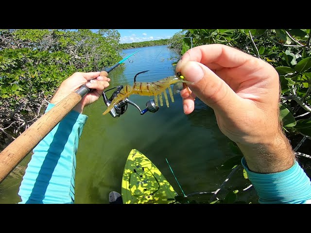 First Key Largo Fishing Experience - Florida Keys Adventure Epi 1