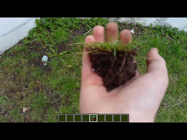 Minecraft in real life
