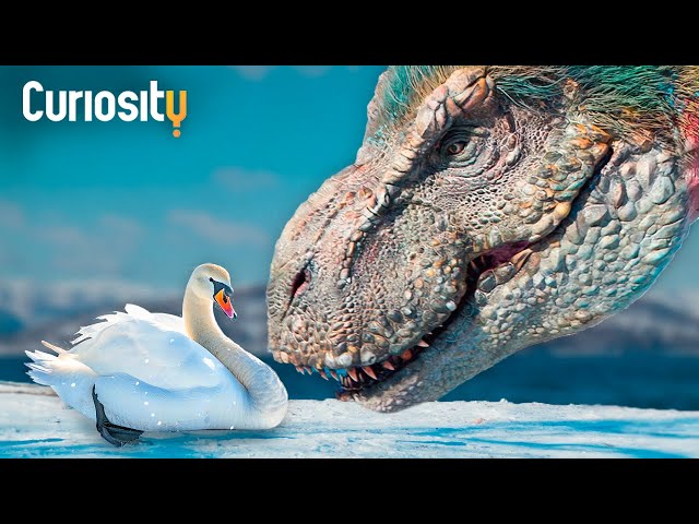 How Dinosaurs Evolved Into Birds | Survivors: A New Theory