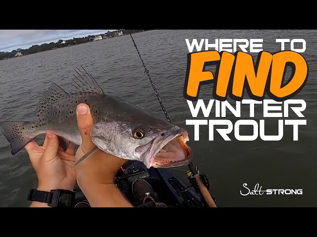 Simple Wintertime Strategies To Reel In More Speckled Trout