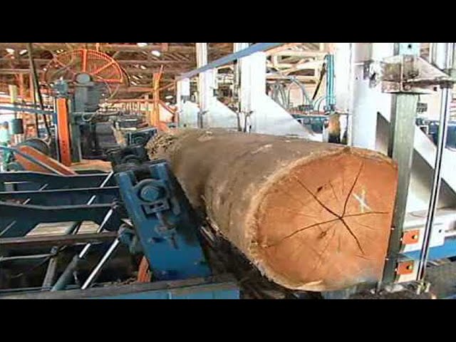 Amazing Modern Automatic Wood Processor Production Factory, Fastest Wood Sawmill Machines Working