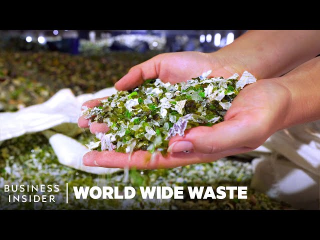 How Sand Made From Crushed Glass Rebuilds Louisiana’s Shrinking Coast | World Wide Waste