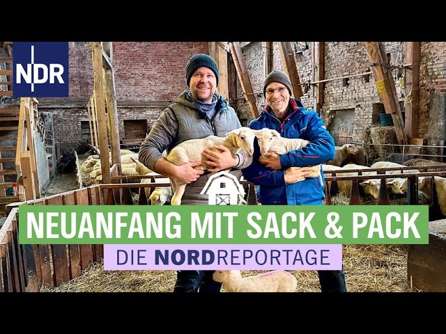 Schafe, Traktor und viel Arbeit - die Dorf-Schäferei zieht um | Die Nordreportage | NDR