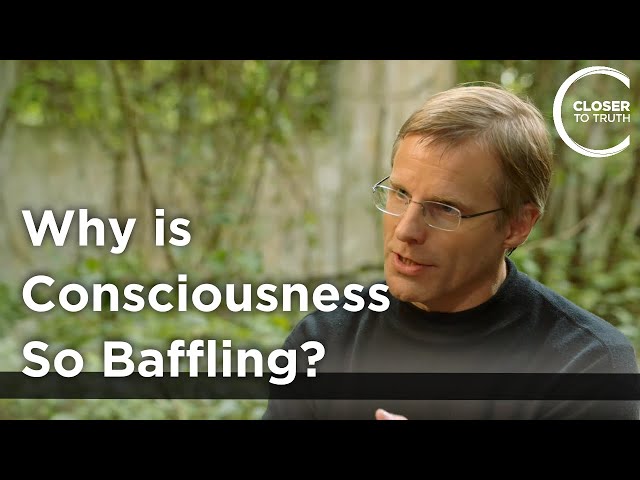 Giulio Tononi - Why is Consciousness so Baffling?