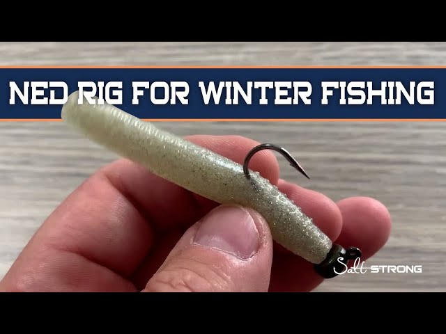 THIS Popular Bass Fishing Rig Crushes Fish In The Winter