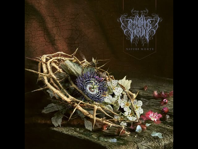 Pénitence Onirique -Nature Morte 2023 (Full Album)