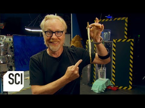 Is Spider Silk Stronger Than Steel? | MythBusters Jr.