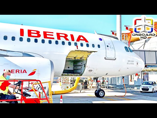 TRIP REPORT | Great A320Neo Business Class ツ | IBERIA A320Neo | Paris-Orly to Madrid