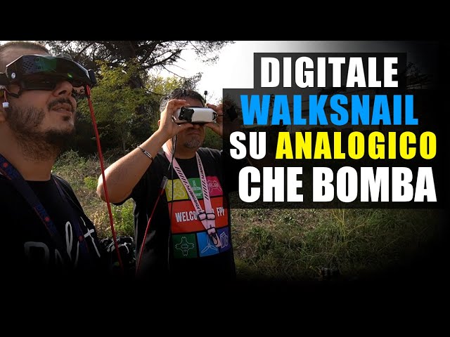 DIGITALE WALKSNAIL SU VISORE ANALOGICO VA MEGLIO DELL'ORIGINALE!!! // SIMULIAMO IL MODULO AVATAR VRX