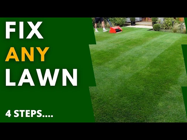Renovate ANY Lawn this Autumn - 4 EASY Steps