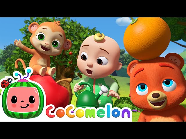 Grow Grow Grow Your Fruit Song | CoComelon Animal Time | Animals for Kids