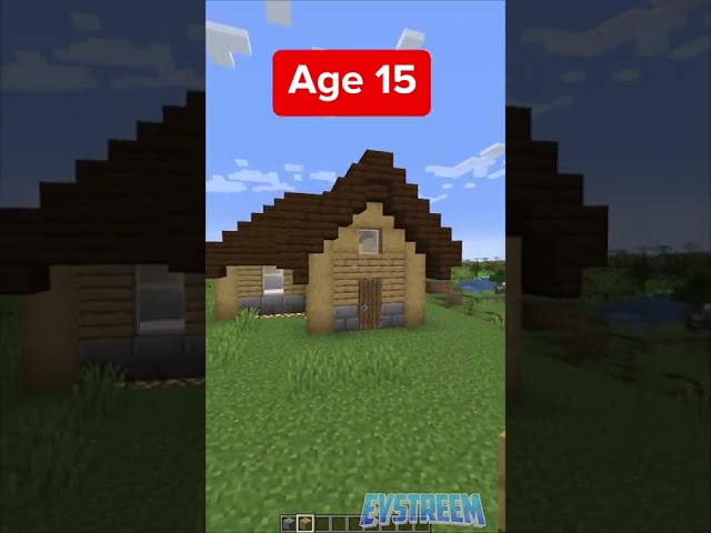 Minecraft Houses at Different Ages (World's Smallest Violin)