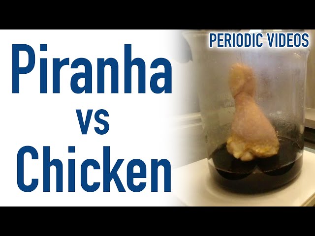 Chicken Leg in Piranha Solution - Periodic Table of Videos