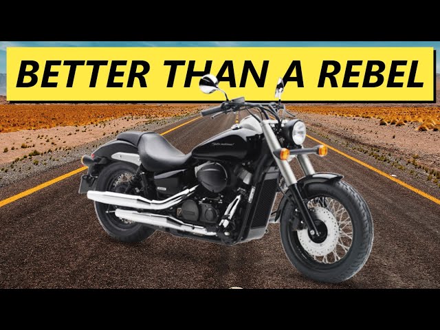 Best Beginner Cruiser Motorcycles (2023)