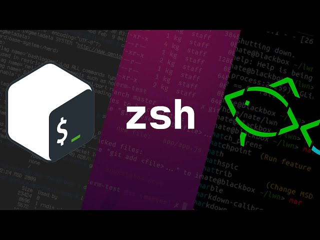 Bash vs ZSH vs Fish: What's the Difference?