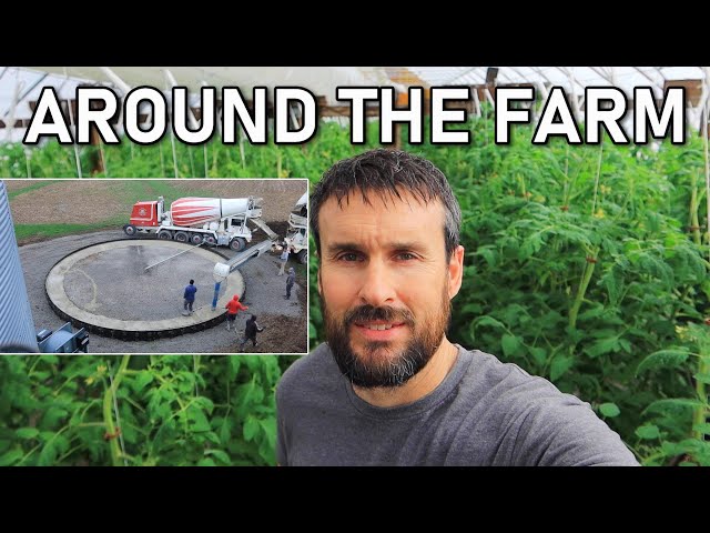 Farm Update | Vegetable Equipment Tour | New Grain Bin Going Up