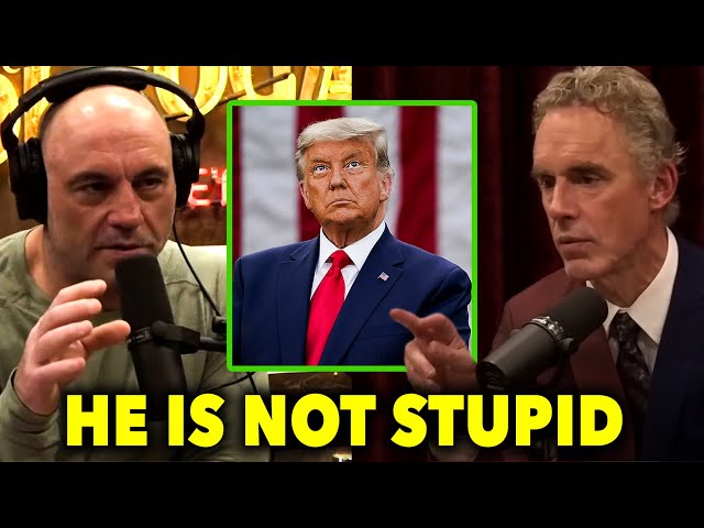 Jordan Peterson Is Trying To Tell Us Something About Trump!!