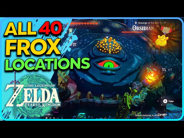 All 40 Frox Locations Zelda Tears of the Kingdom