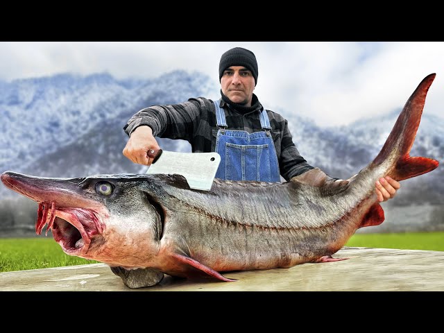 The Recipe For A Very Tasty Beluga On The Campfire! This Method Will Amaze You!