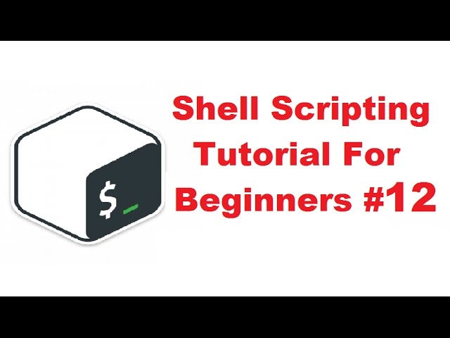 Shell Scripting Tutorial for Beginners 12 - The case statement