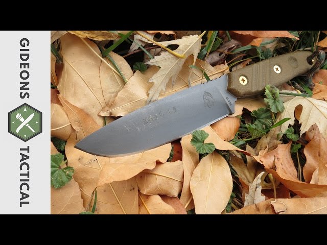 Cuts Like A Dream: TOPS Knives Baja 4.5
