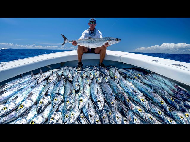 1,000lbs of Fish...BIG Payday! (Commercial Kingfish) -Catch Clean Cook