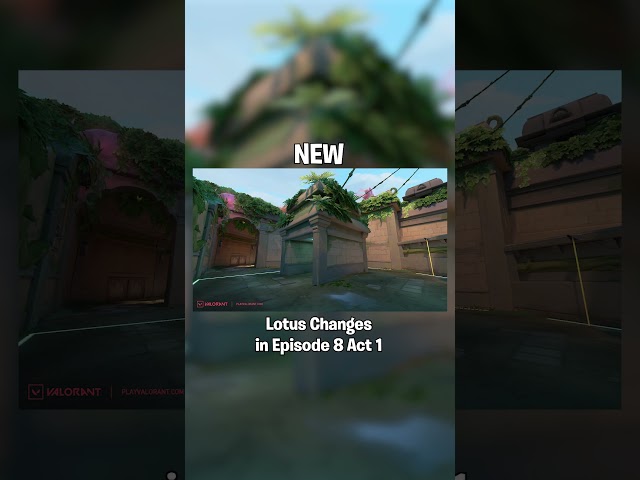 Lotus is getting massive changes!