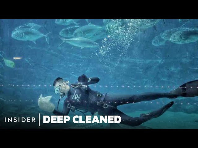 Deep Cleaning One Of The World's Biggest Aquariums | Deep Cleaned | Insider