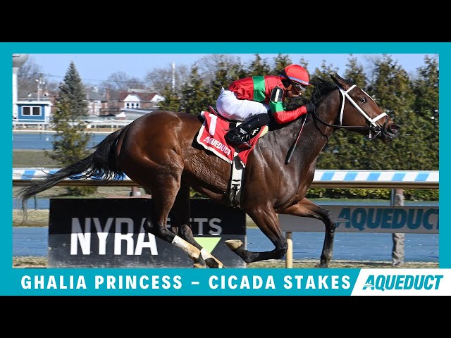 Ghalia Princess - 2024 - The Cicada