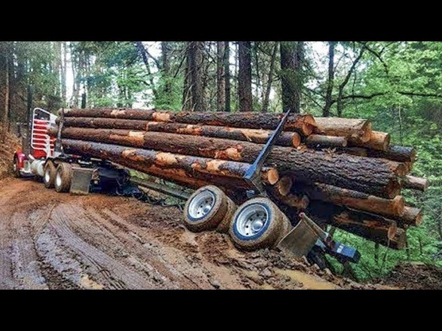 Dangerous Idiots Extreme Logging Wood Truck Fails | Heavy Equipment Machines Fails Idiots At Work.