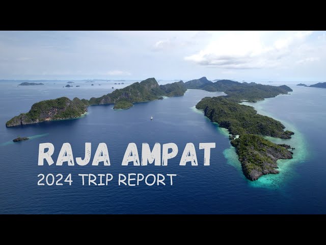 Diving Raja Ampat in 2024...(4K)