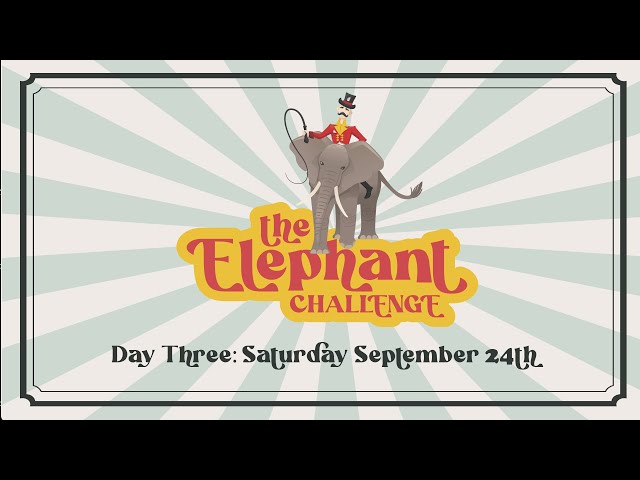 Laura Covers Comping and Pace Pulls Lists for the Challengers! | Elephant Challenge Day 3 (9/24)