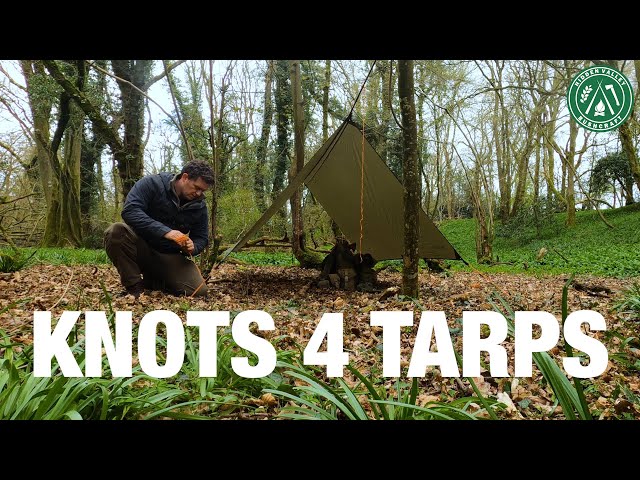 The 3 Essential KNOTS for Tarps | Camping & Bushcraft | Tarpology Essentials | Plus a Thank You!