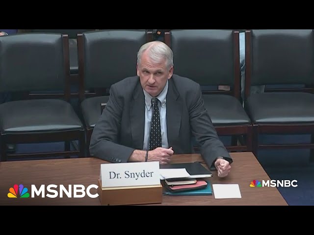 Doing Russia’s bidding: Snyder calls out GOP ‘Putin wing’ to their faces in Hill hearing