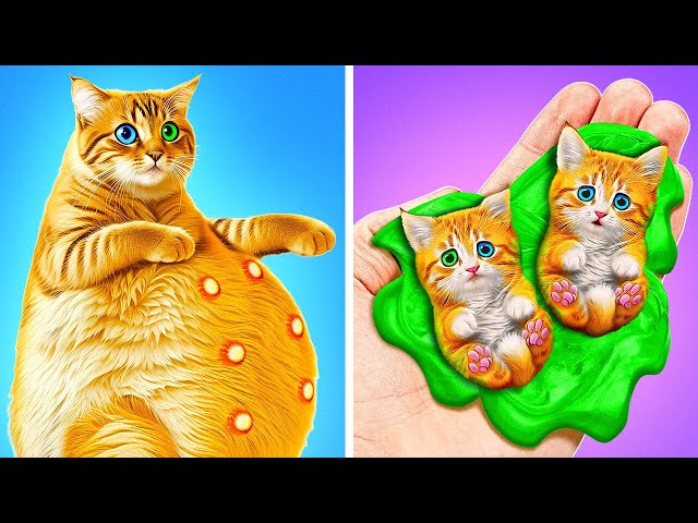 I Saved A Pregnant Cat 🐱*Secret Hacks For Kittens and Building A New House for My Pet*