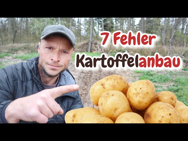Kartoffeln anbauen: 7 fatale FEHLER.