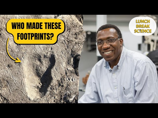 Discoveries at Laetoli: Footprints, Fossils, and Hominin Diversity with Dr. Charles Musiba