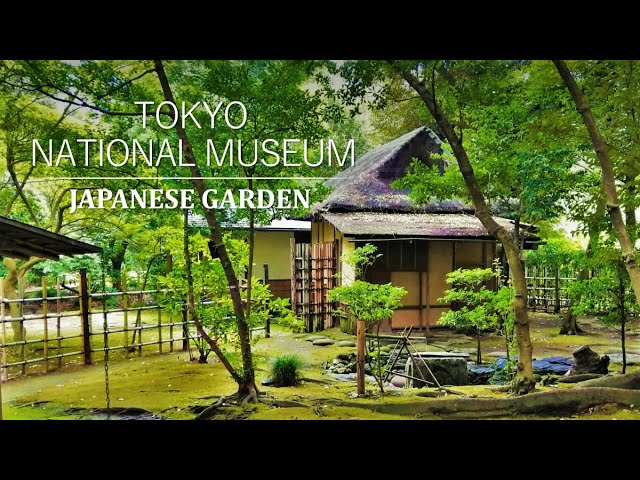 Japanese Tea Garden Set Up Around a Historic Teahouse | Tokyo National Museum