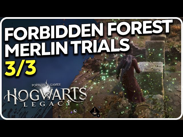 Forbidden Forest Merlin Trials 3/3 Hogwarts Legacy