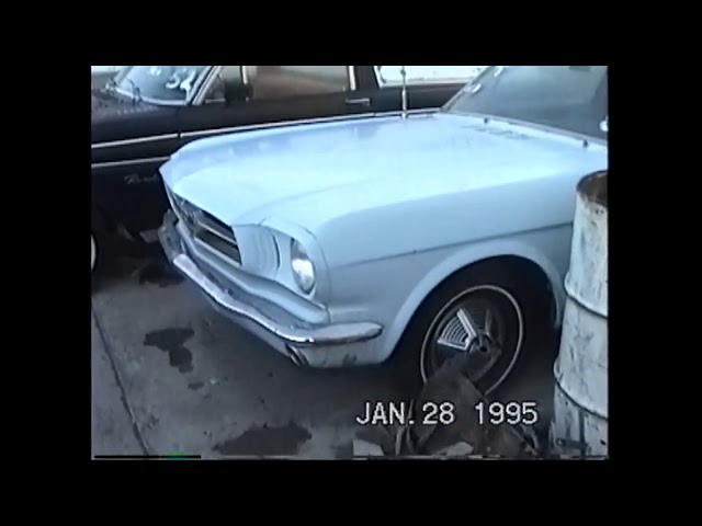 My 1965 Mustang Fastback back in 1995