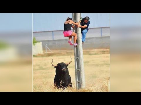 Funniest Fails Of The Year Compilation
