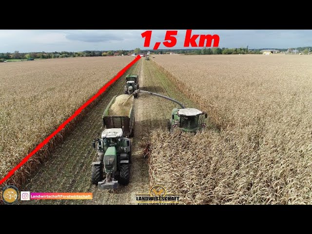 1,5 Km Länge! Der alltägliche Wahnsinn auf deutschen Feldern! Lohnunternehmer im Großeinsatz im Mais